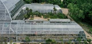Botanical Glass Constructions Designed