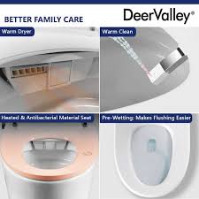 Deervalley Dv 1s0019 Smart Bidet Toilet Quiet Closed Heated Seat Sensor Auto Foot Kick Blackout Flush Warm Wash Night Light