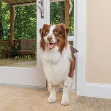 Petsafe 10 1 4 In X 16 3 8 In Large White Freedom Patio Panel 91 In To 96 In Pet Door