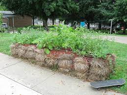 Straw Bale Gardening Offers Options For