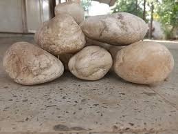 Landscaping White Pebble Stone At Rs 10