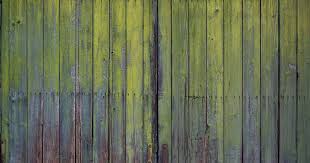 Green Algae Off Wooden Garden Fence