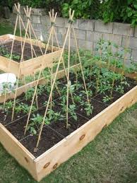 Square Foot Gardening Backyard Garden