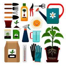 Indoor Garden Icon Png Vector Psd