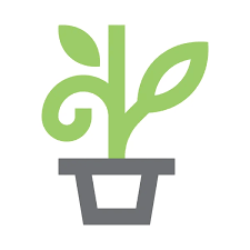 Flower Flower Pot Flowers Icon