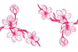Sakura Cherry Blossom Branch Line Art