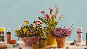 How To Spray Paint Flowerpots