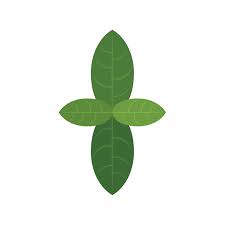 Basil Plant Icon Flat Vector Leaf Herb