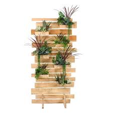 Succulent Living Wall Loungeworks