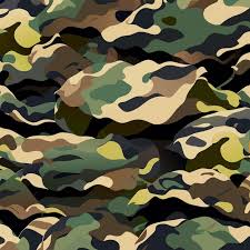 Seamless Camo Background In Vector Home