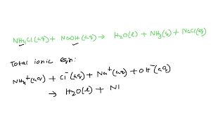 Enter The Balanced Net Ionic Equation