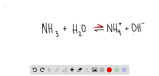 Converted To The Ammonium Ion In Water