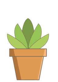 Plant Cactus Nature Flower Pot