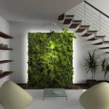 Indoor Wall Garden At Best In