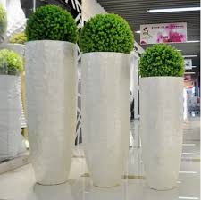 Ceramic Plant Pots At Best In