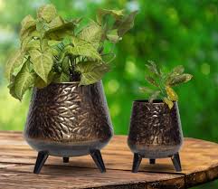Planter Buy Planters Upto 75