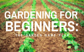 Tips For Beginner Gardeners How To Get