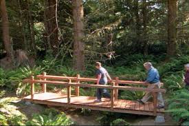 How To Build A Wooden Foot Bridge Diy