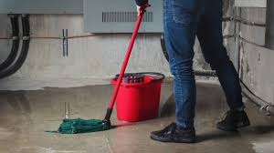 Ideas To Make Your Unfinished Basement