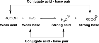 The Conjugate Acid Base Pair From The