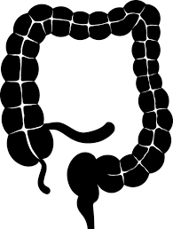 Large Intestine Icon In Black And White