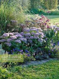 35 Dry Shade Garden Ideas Shade