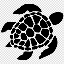 Sea Turtle Decal Sticker Car Bumper