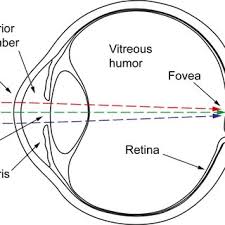 pdf laser pointers and eye injuries