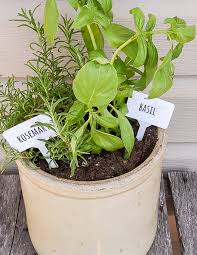 Herb Markers And Free Printable