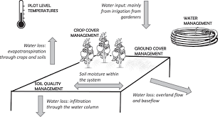 Maintaining Soil Moisture