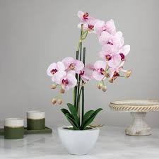 White Artificial Orchid Plant