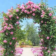 11 Amazing Uses For A Garden Arch At