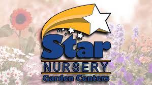 Celebrate Star Nursery S 40th Birthday