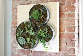 Diy Vertical Succulent Garden Ehow S