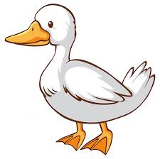 Duck Drawing Images Free On