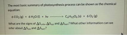 Basic Summary Of Photosynthesis Process