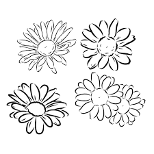 Daisy Flower Line Art Drawing Vector