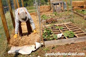 Vegetable Garden Walkways