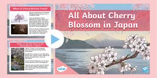 All About Cherry Blossom In Japan