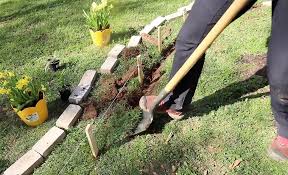 How To Install Brick Edging The Home