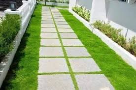 Paving Stones And Mexican Grass For