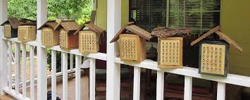 Mason Bees The Real Dirt Blog Anr Blogs