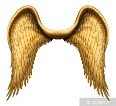 Poster Angel Wings Pixers Uk