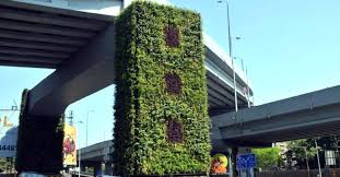 Pune To Grow Vertical Gardens