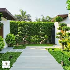 Landscape Designing Service At 150 Sq