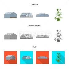 Vector Design Of Greenhouse And Plant