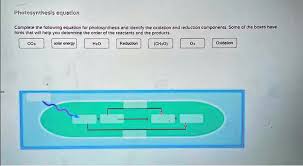 Solved Text Photosynthesis Equation