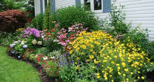 Cottage Garden Plants And Flowers