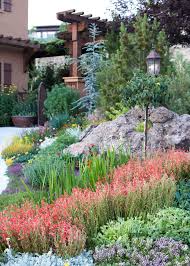 11 Drought Tolerant Landscaping Ideas