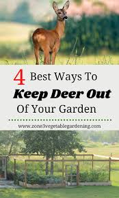 Fenced Vegetable Garden Deer Garden